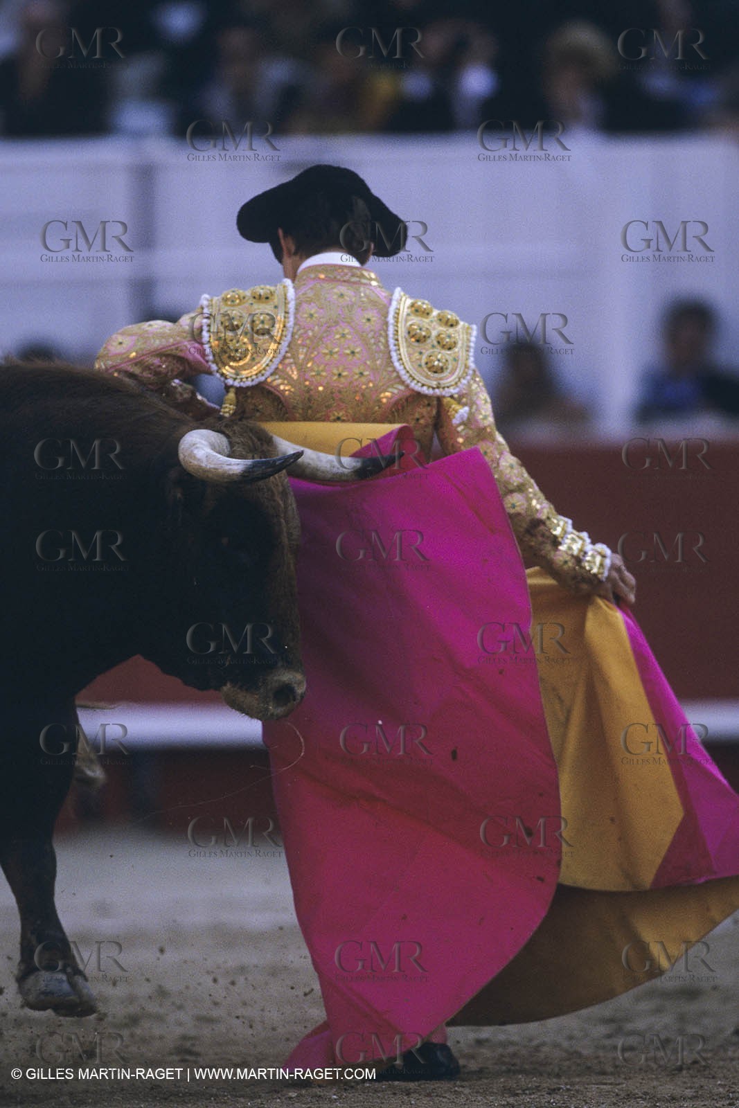 France, Provence, Traditions, Tauromachie, bull fights