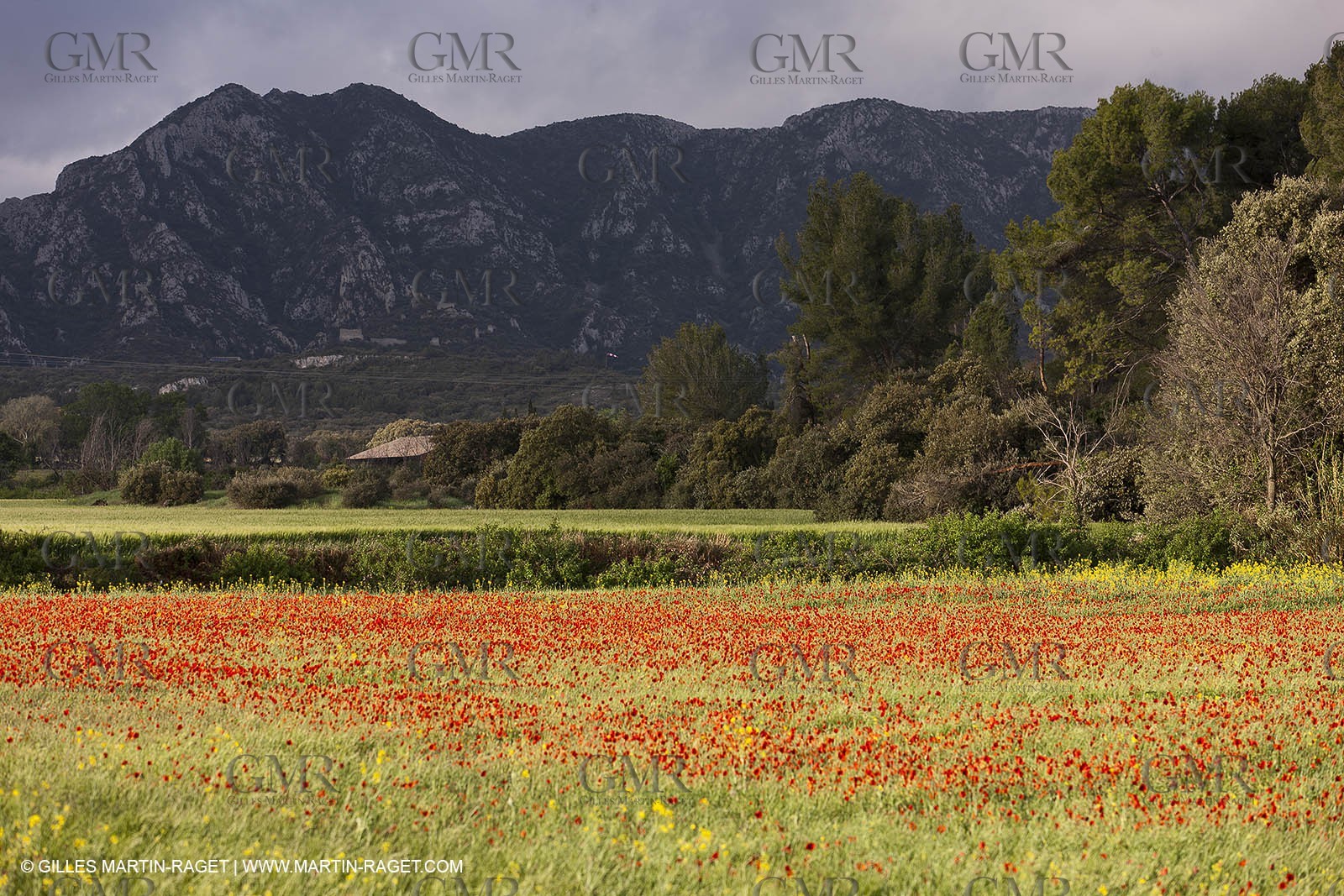 29 04 2012 ( Saint Rémy de Provence (FRA, 13) - Chaîne des Alpilles vers Romanin
