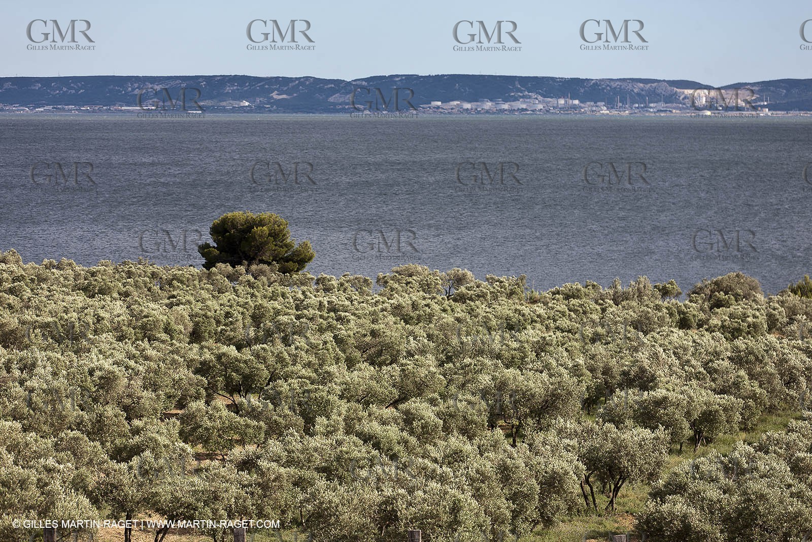 13 06 2012 - Saint Chamas (FRA,13)