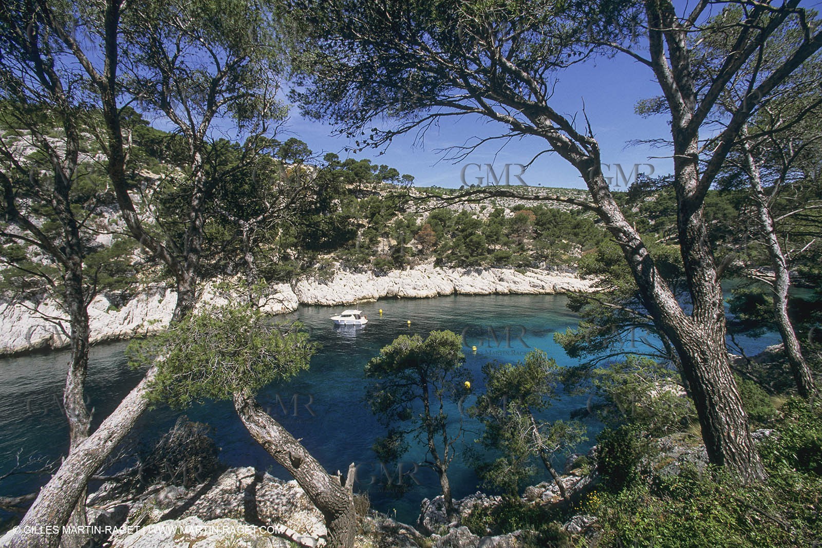 France, Provence, Les Calanques & Iles de Marseille, port Pin