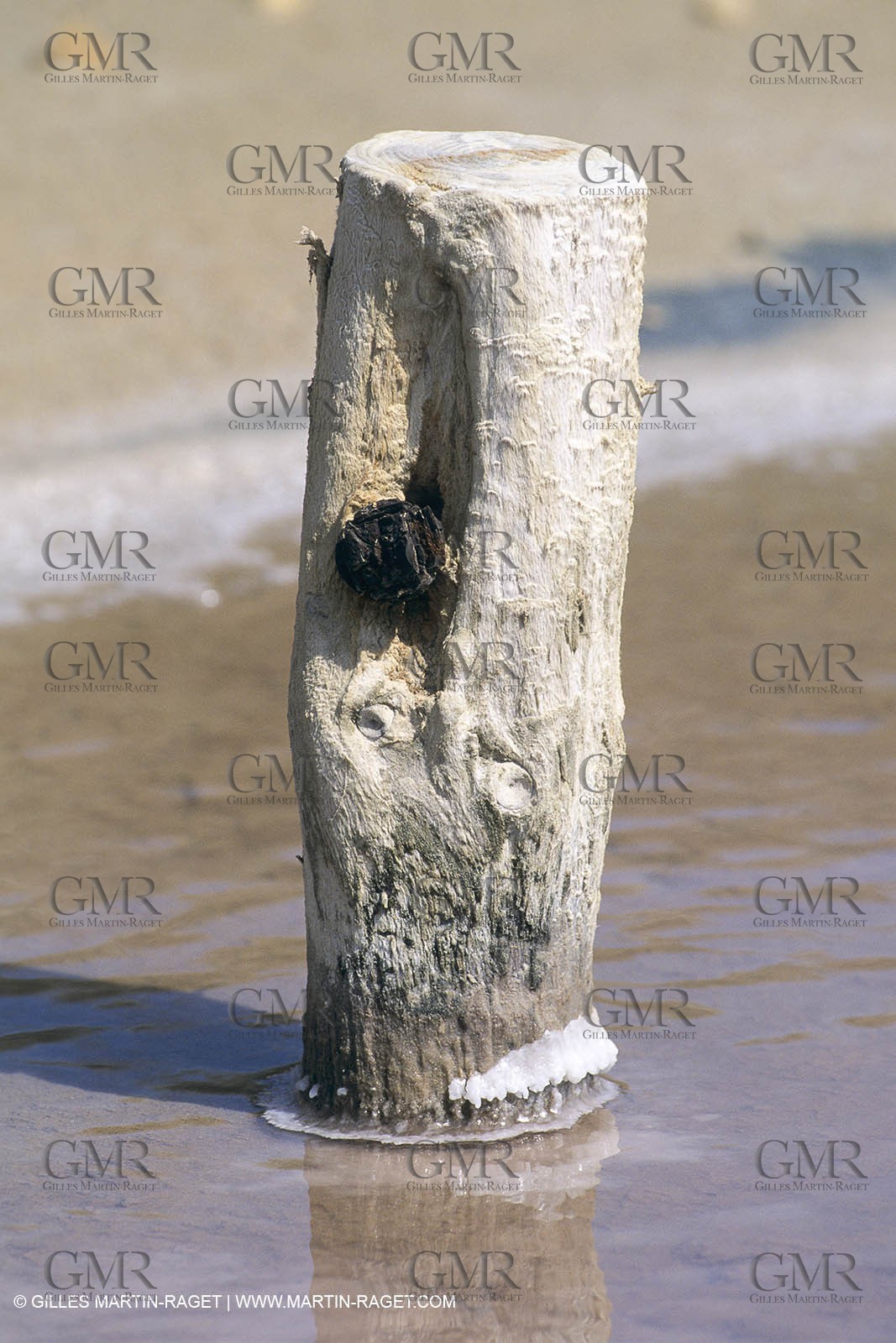 France, Provence, Camargue, Marais salant, Salted marshes