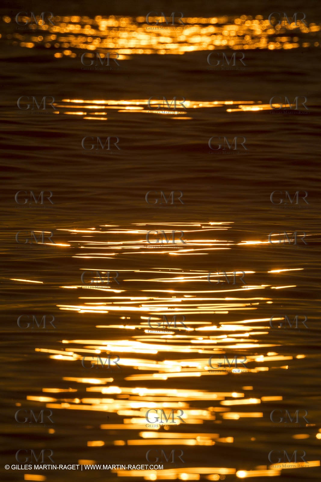 21 12 2014, Barcelona (ESP), Barcelona World Race 2014-15,