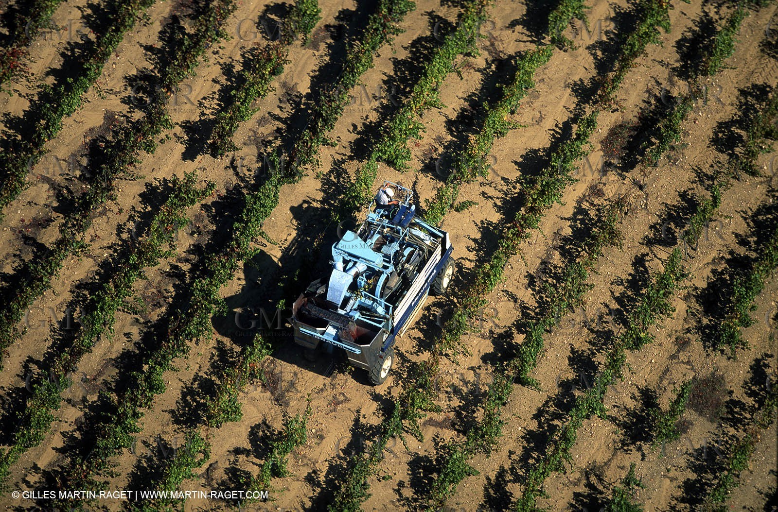 Provence, Le temps des vendanges