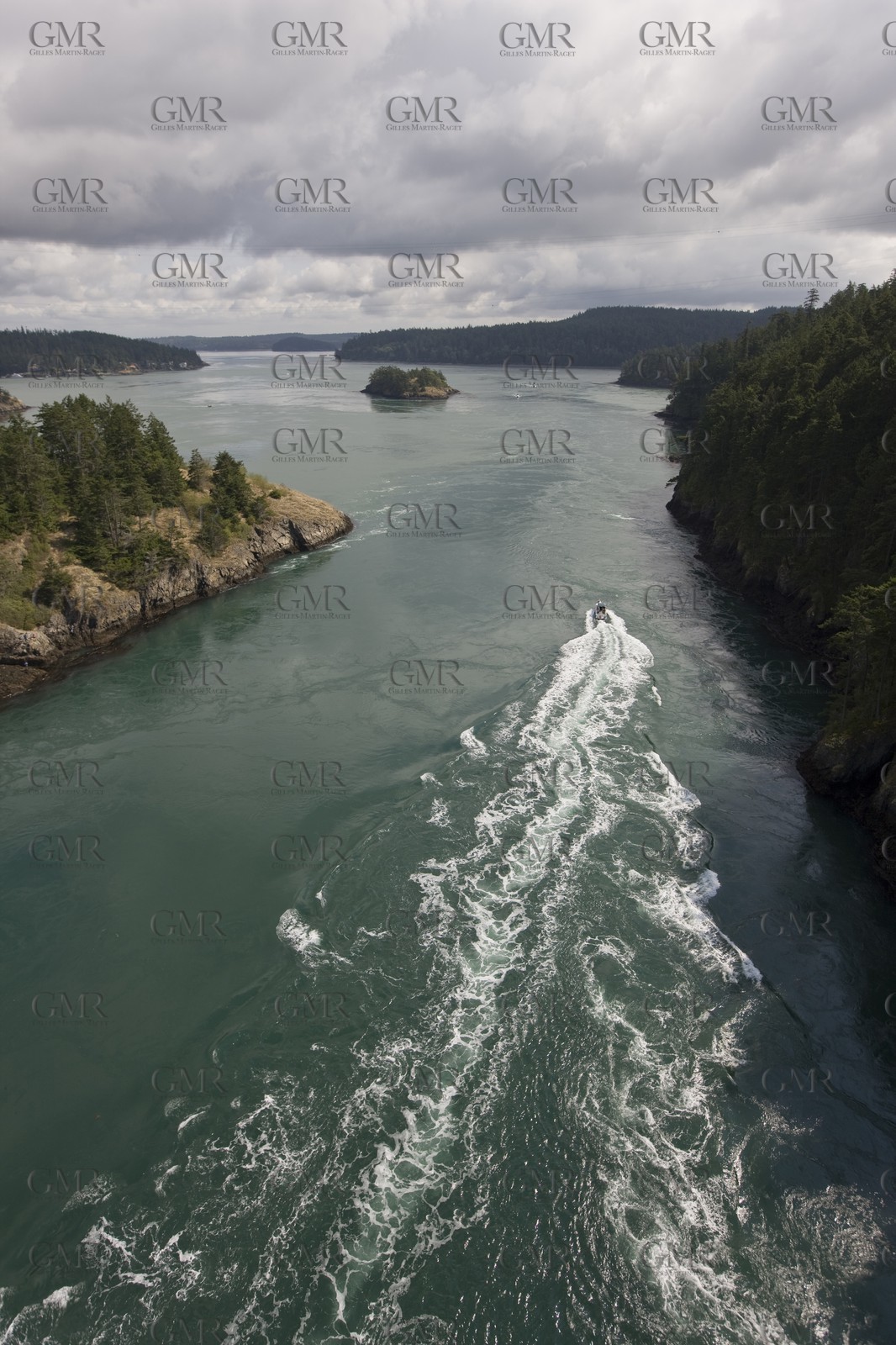 01 09 2008 - San Juan Islands (WA, USA) - Killer Whales