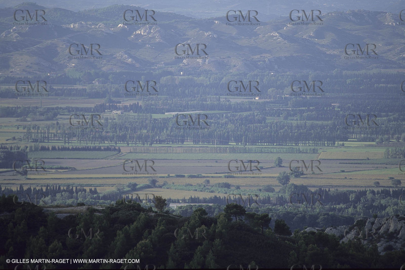 France, Provence, paysage des Alpilles, Alpilles landscapes