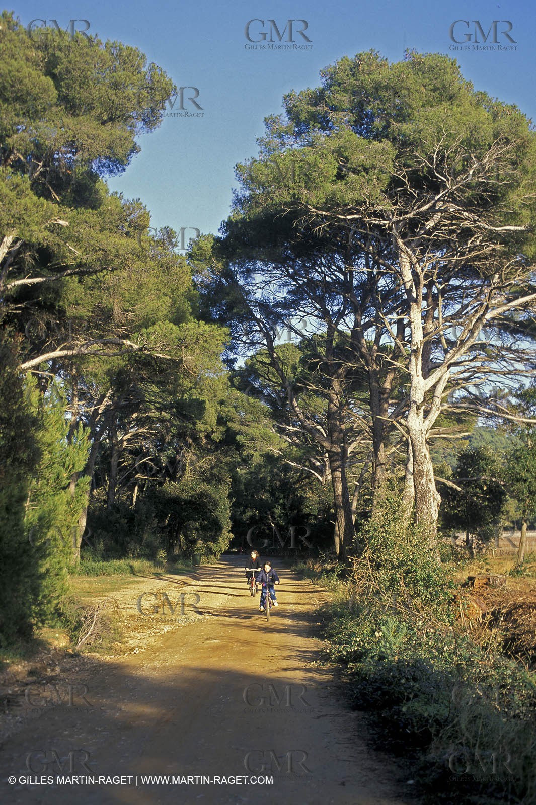 île de Porquerolles