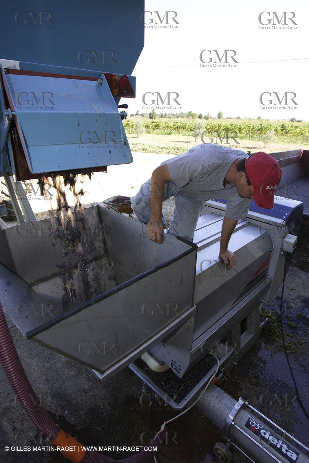 Harvest - D'or et de Gueule castle