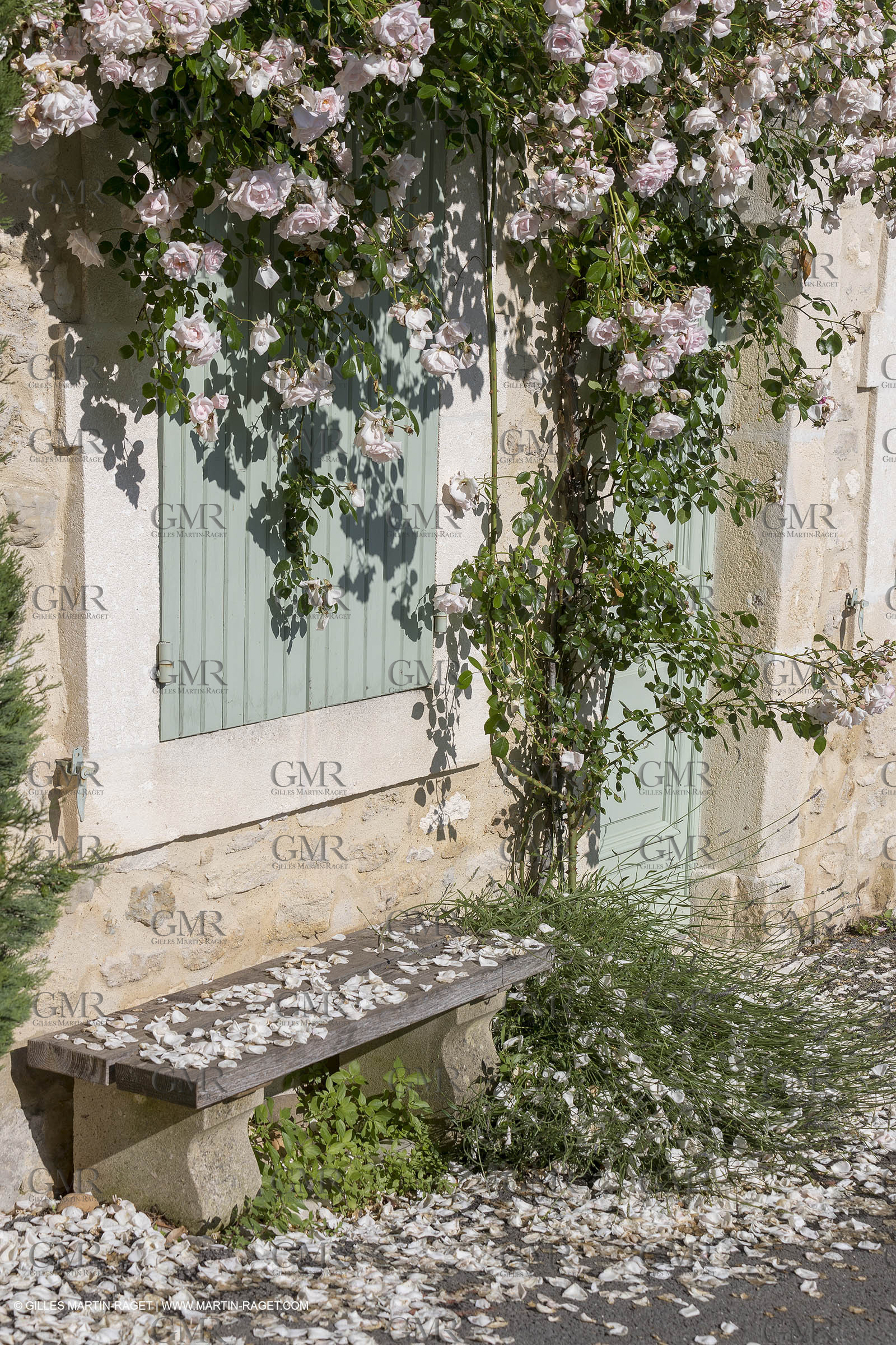 1 06 2018, Ménerbes, (FRA,84)