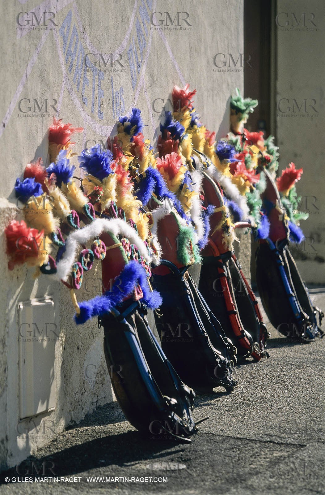 Saint Rémy de Provence (FRA,13) - Careto ramado (charrette fleurie)
