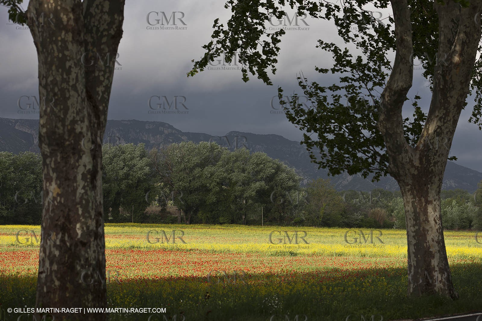 29 04 2012 ( Saint Rémy de Provence (FRA, 13) - Chaîne des Alpilles vers Romanin