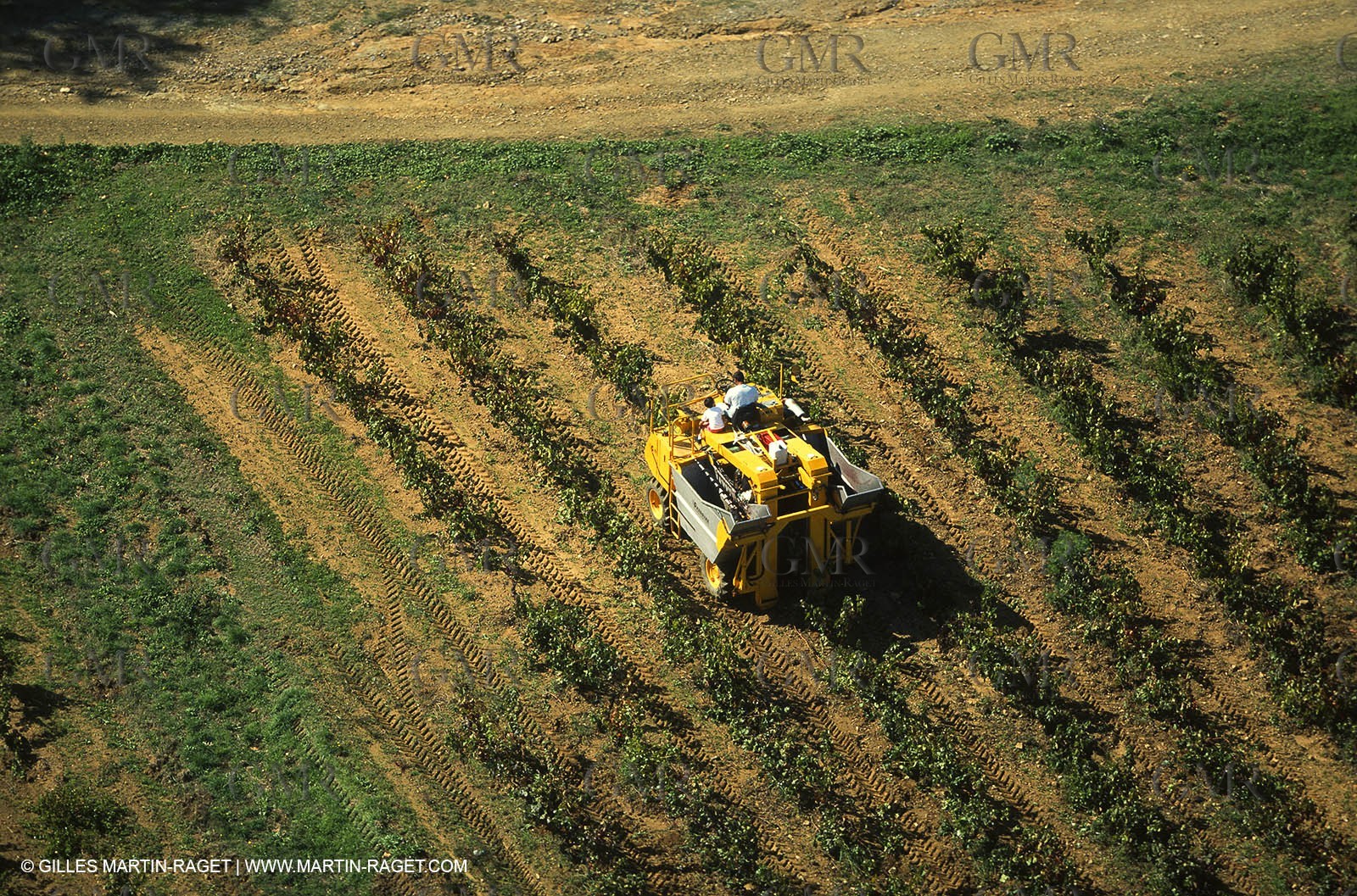 Provence, Harvest time