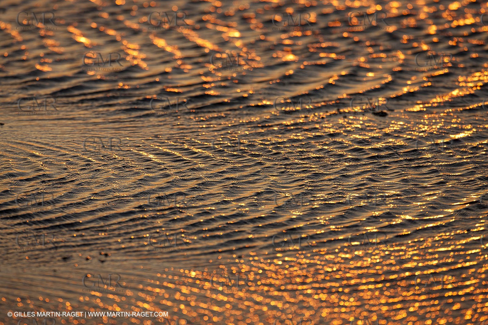 25 05 2011 - Les Saintes Maries de la Mer (FRA,13) - gypsies gathering