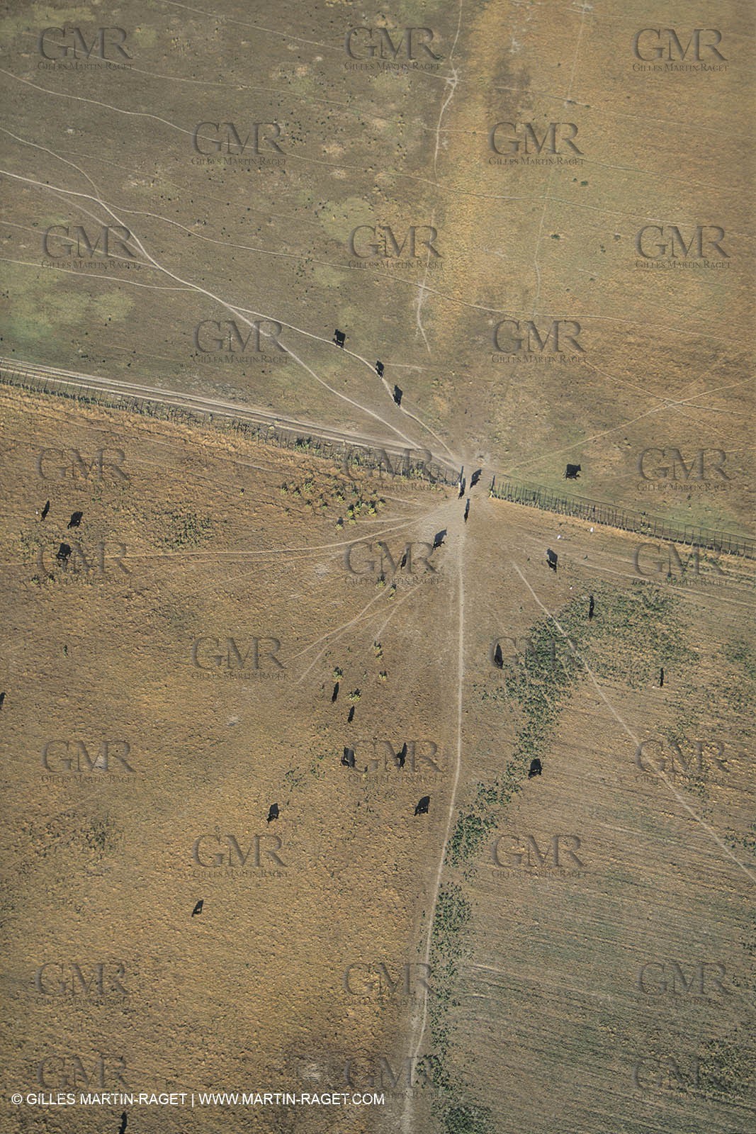 France, Provence, Plaine de la Crau