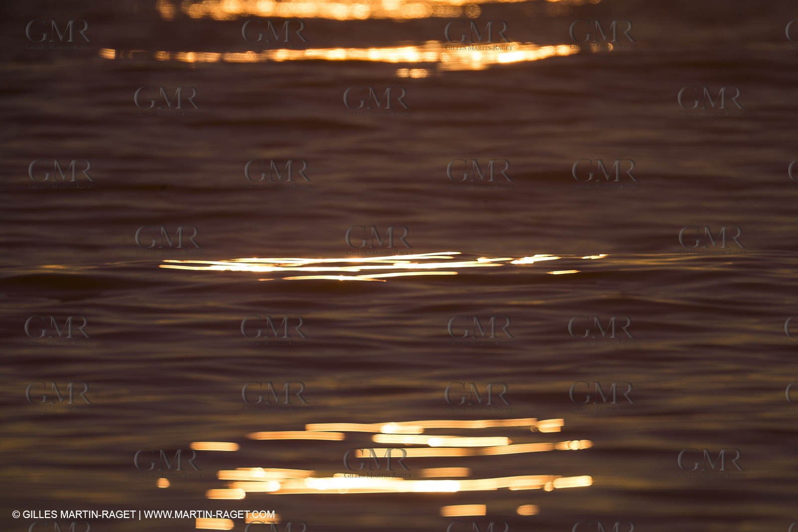 21 12 2014, Barcelona (ESP), Barcelona World Race 2014-15,