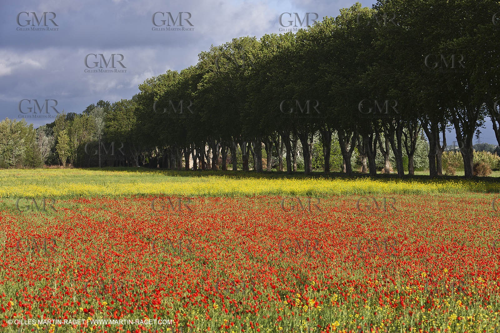 29 04 2012 ( Saint Rémy de Provence (FRA, 13) - Chaîne des Alpilles vers Romanin