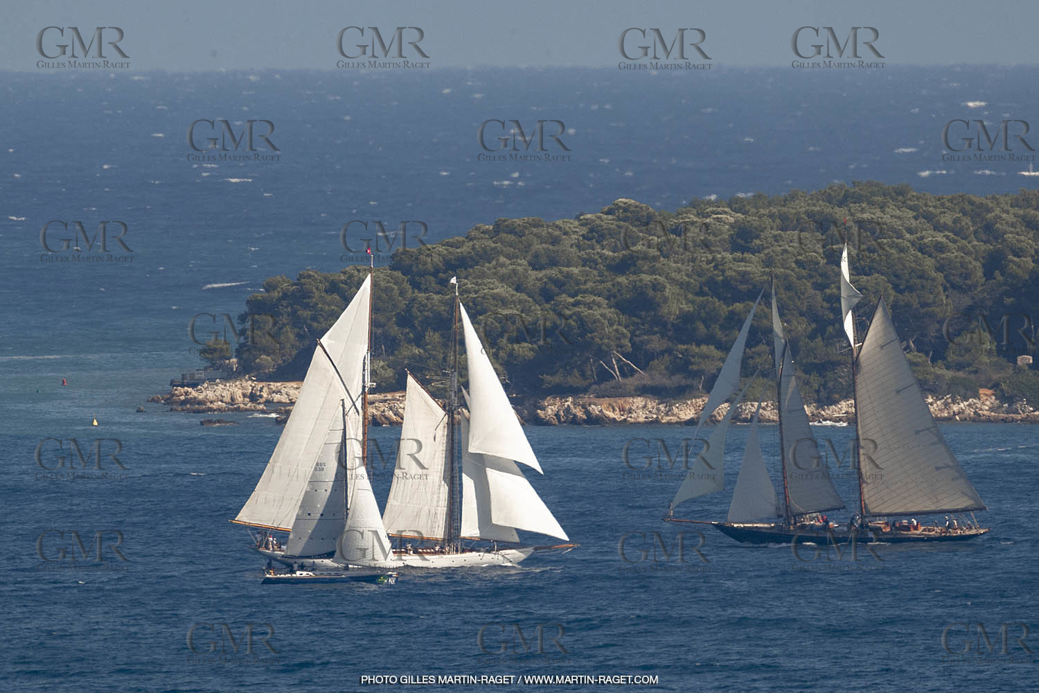 RRoyales18__0556.jpg
