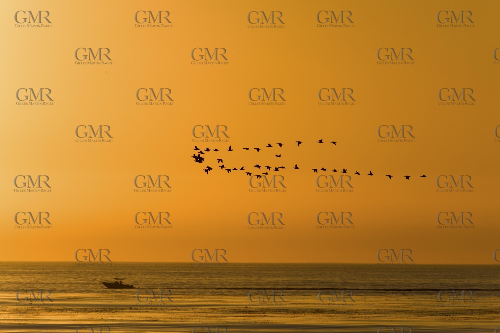 17 11 2008 - San Diego (USA, CA)