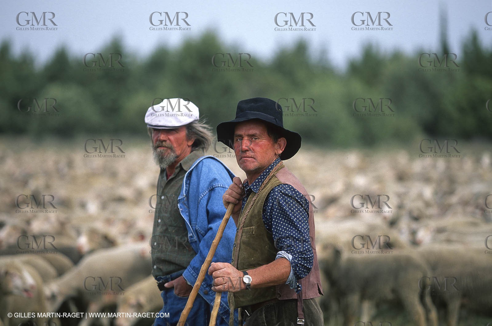 Saint Rémy de Provence (FRA,13) - Fête de la Transhumance