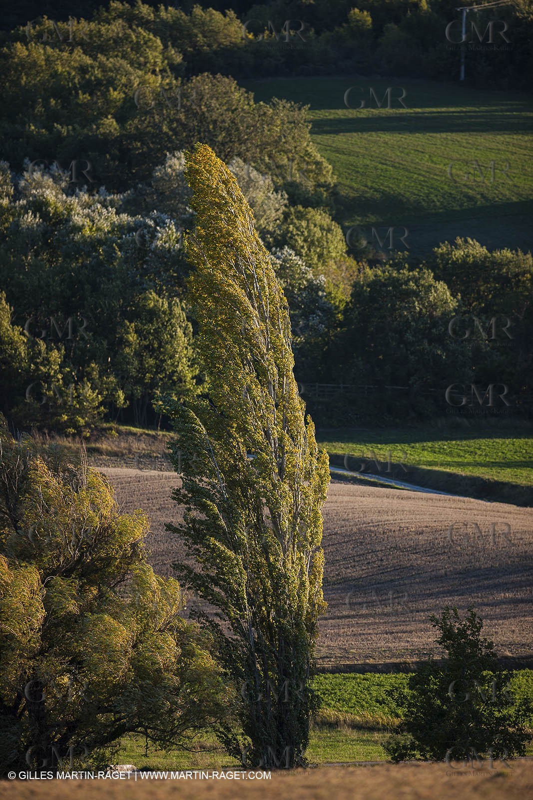 15 10 2012 - Encrême valley, near Céreste