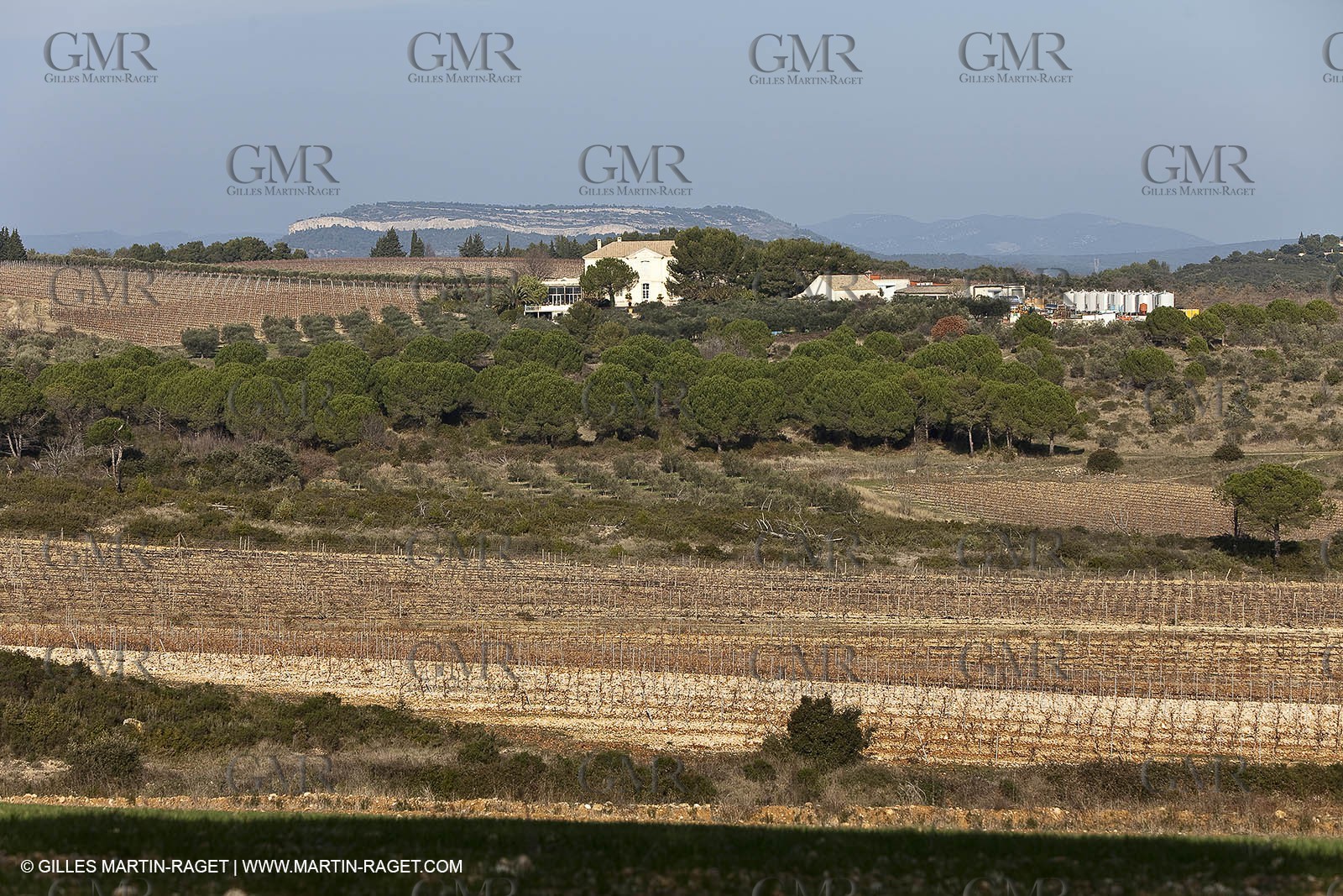 Saint Drézéry (FRA, 34), Domaine de Puech Haut