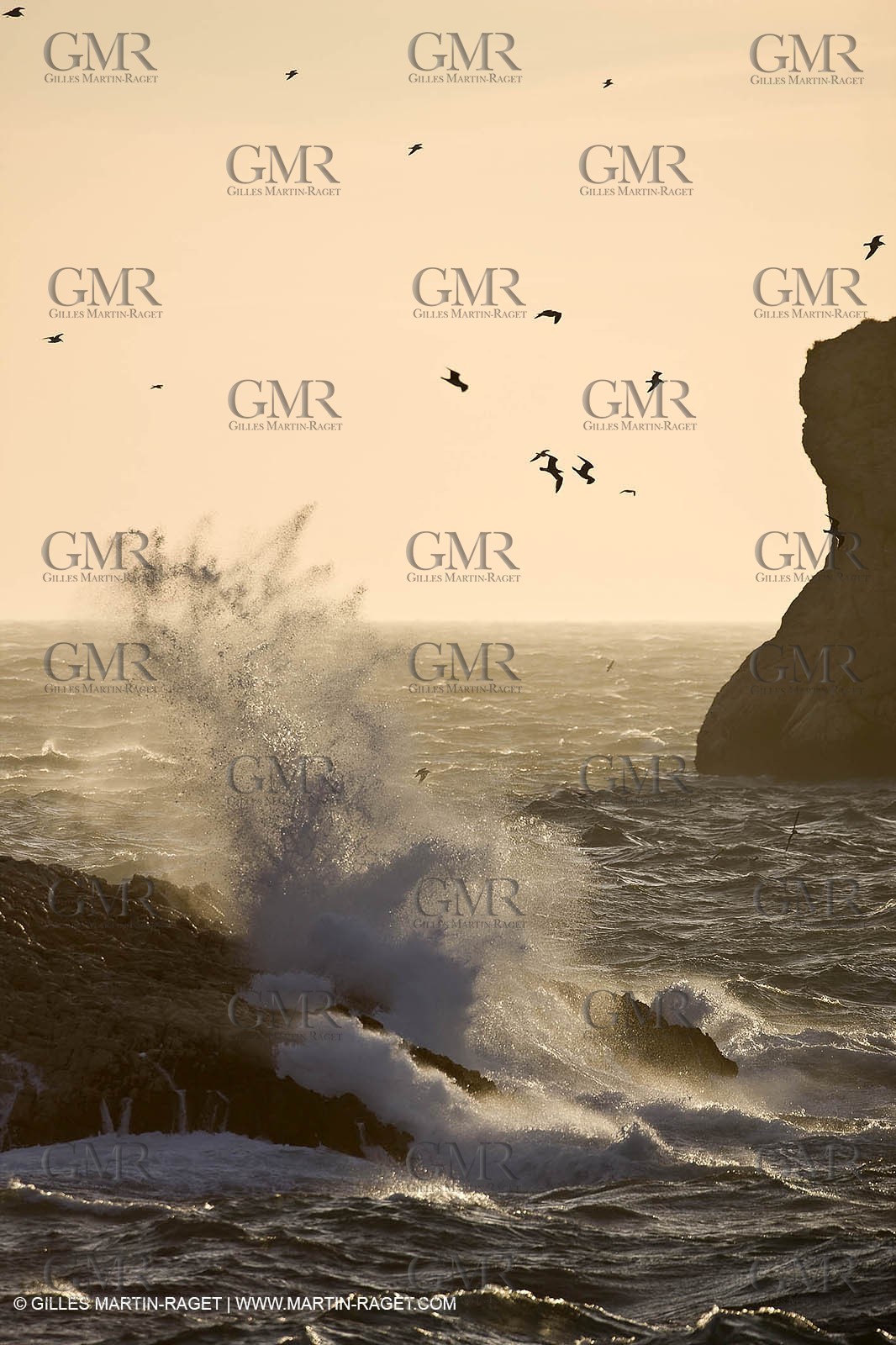 11 03 2009 - Marseille (FRA, 13) - Calanques - Marseilleveyre area