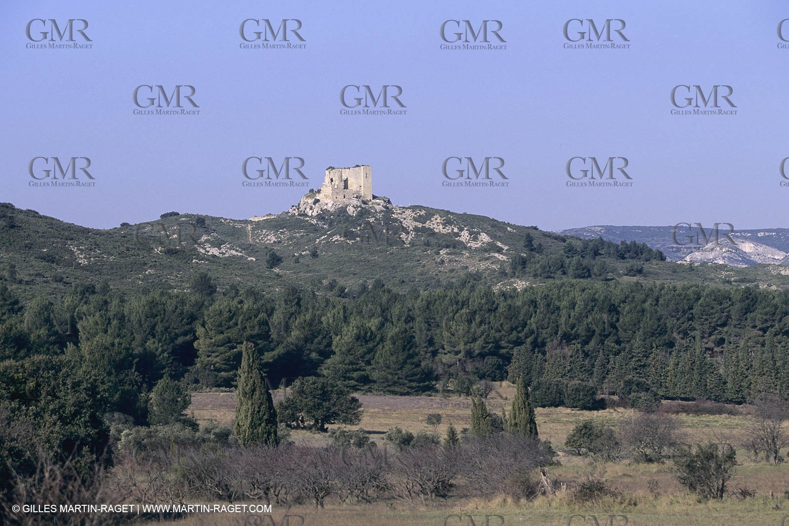France, Provence, paysage des Alpilles, Alpilles landscapes
