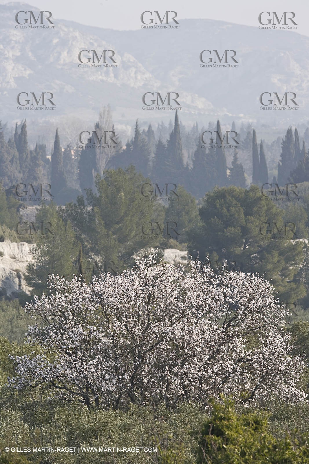 16 02 2008 - Les Baux de Provence (FRA, 13) - Alpilles hills landscapes