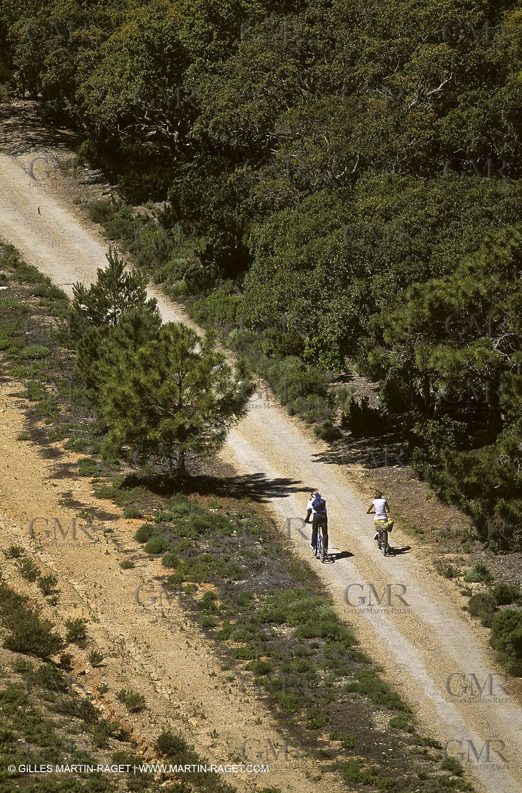 France - Var - 83 - Hyeres islands - Porquerolles