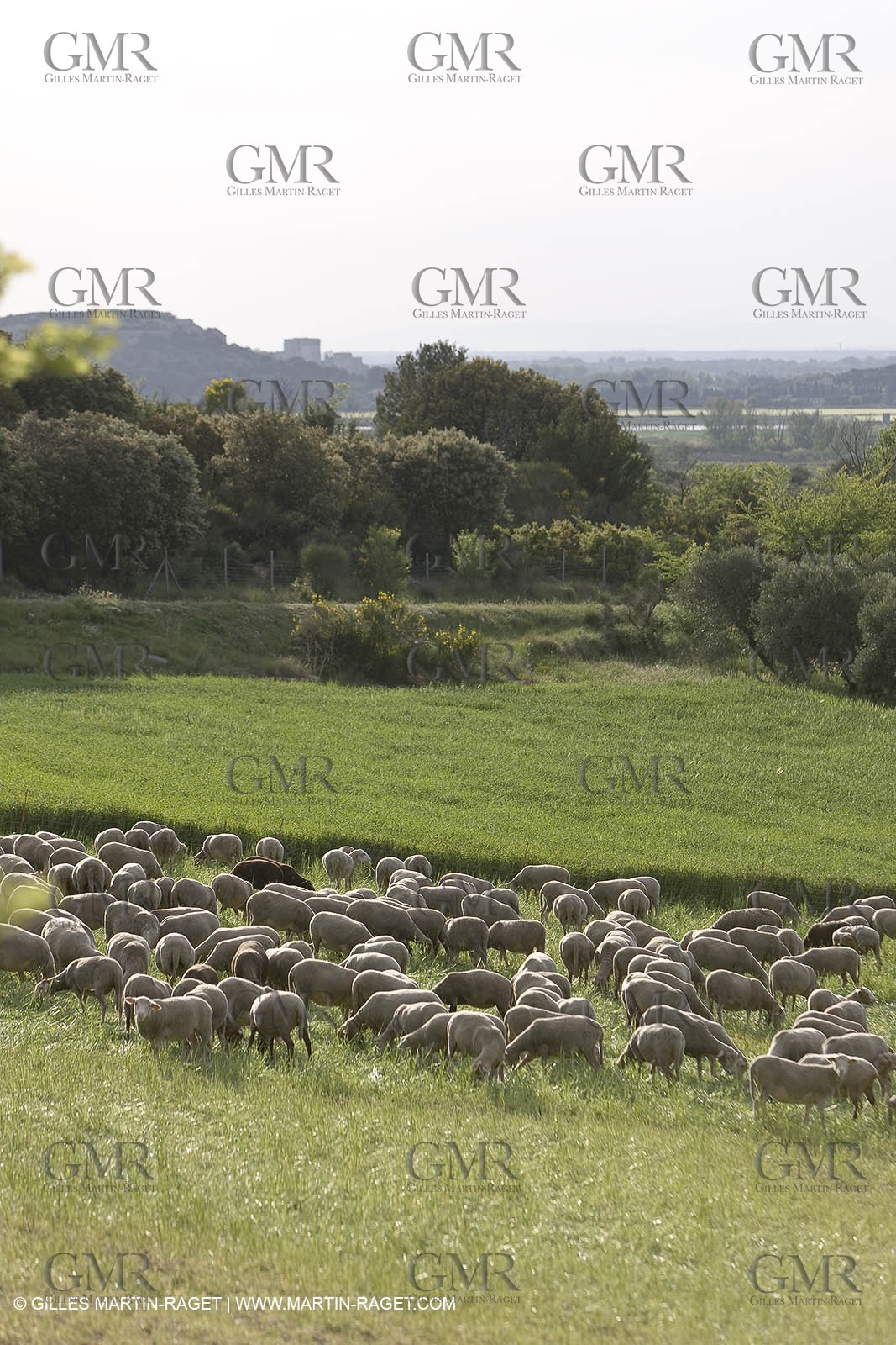 04 05 2008 - Arles (FRA,13)