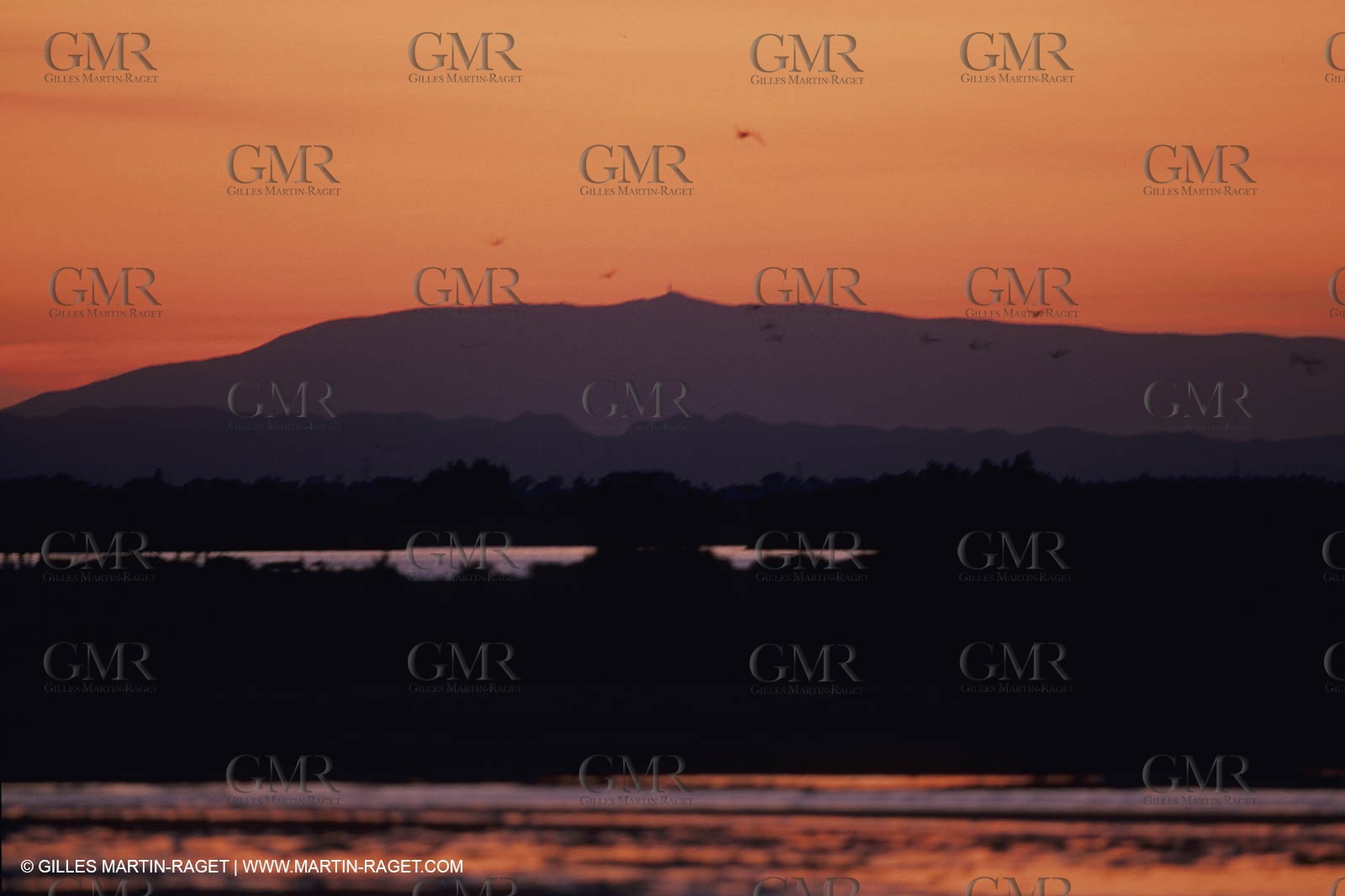 France, Provence, Mont Ventoux