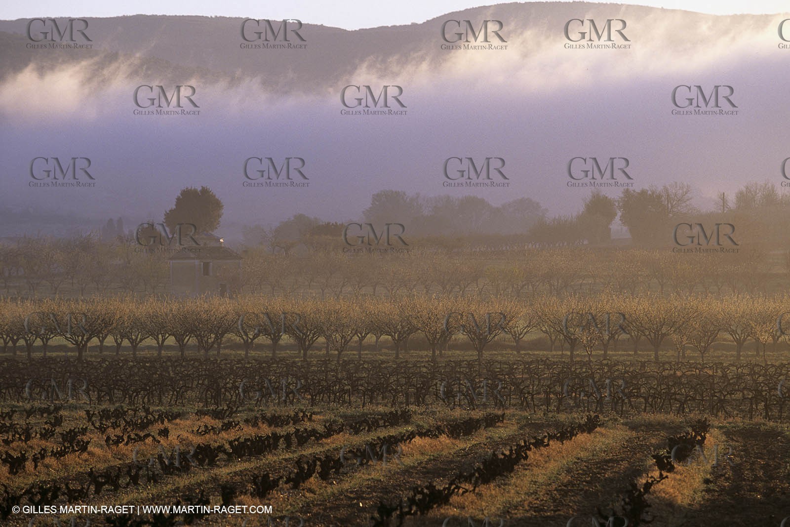 Luberon in winter near Saint Satrunin les Apt (FRA,84)