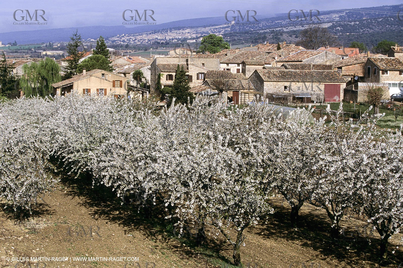 Luberon en hiver vers Saint Saturnin les Apts (FRA,84)