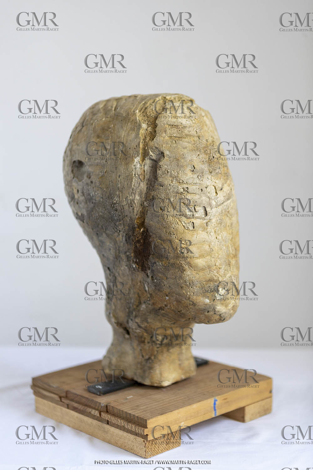 Oeuvre Germaine Richier, Plâtre buste n° 12, dit 'Le Tatou , 1934