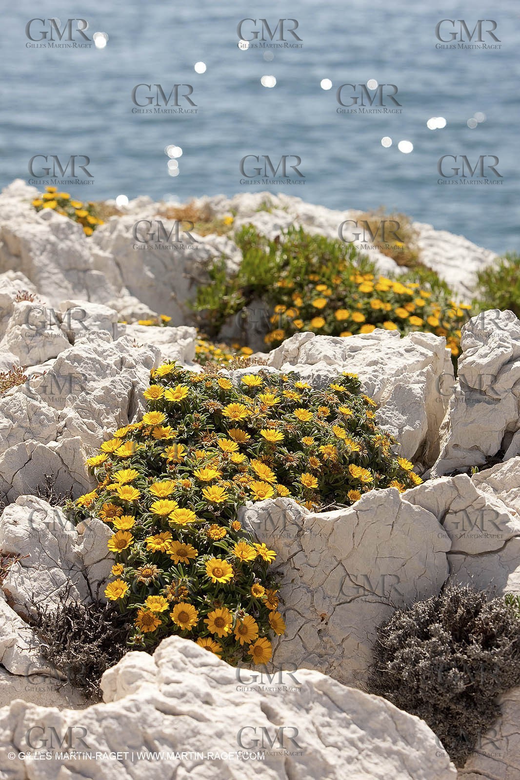 20 05 2009 - Marseille (FRA, 13) - Les Calanques - Calanque du Podestat