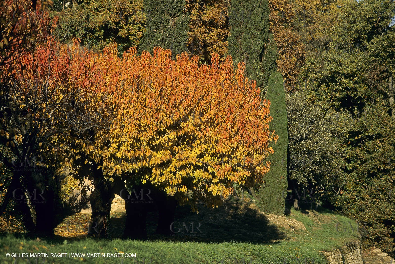 Vaucluse (FRA,84), Villages of the Luberon