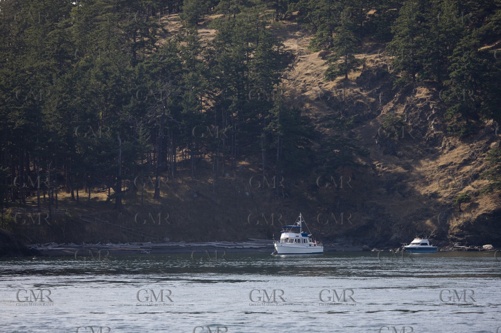 01 09 2008 - San Juan Islands (WA, USA) - Killer Whales