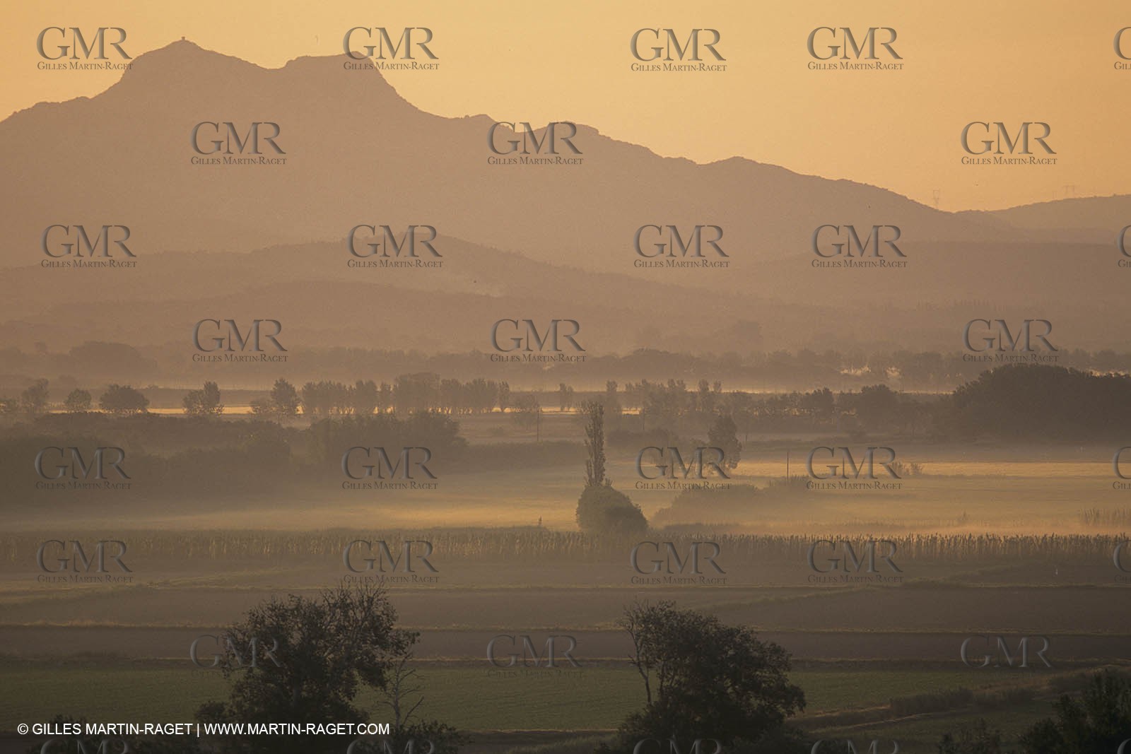 France, south, Alpilles landscapes