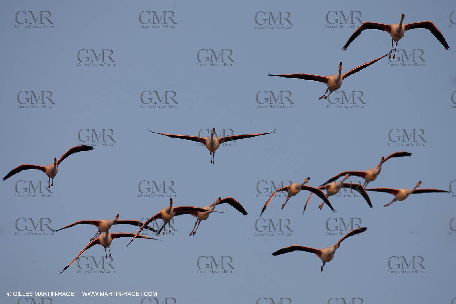 25 05 2011 - Les Saintes Maries de la Mer (FRA,13) - gypsies gathering