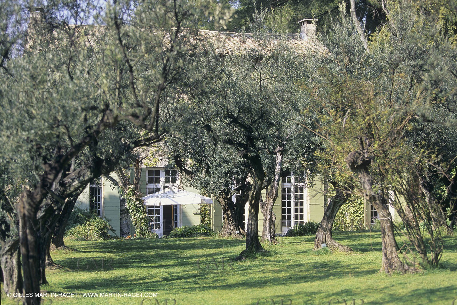 France, Provence, paysage des Alpilles, Alpilles landscapes