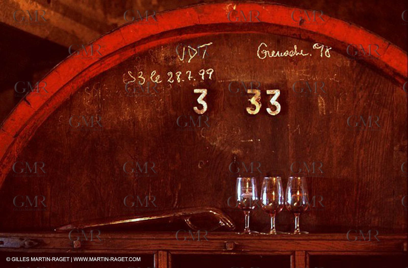 Wine - vineyards - Harvest