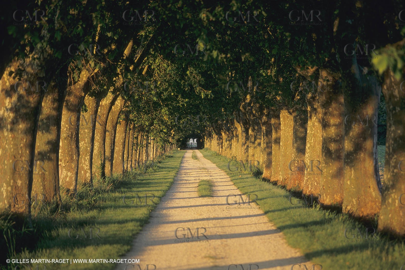 France, south, Alpilles landscapes