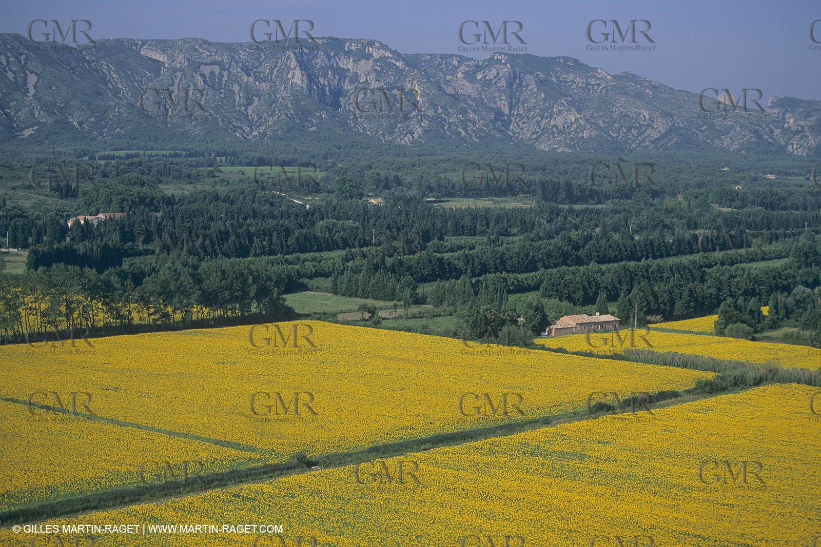 France, south, Alpilles landscapes
