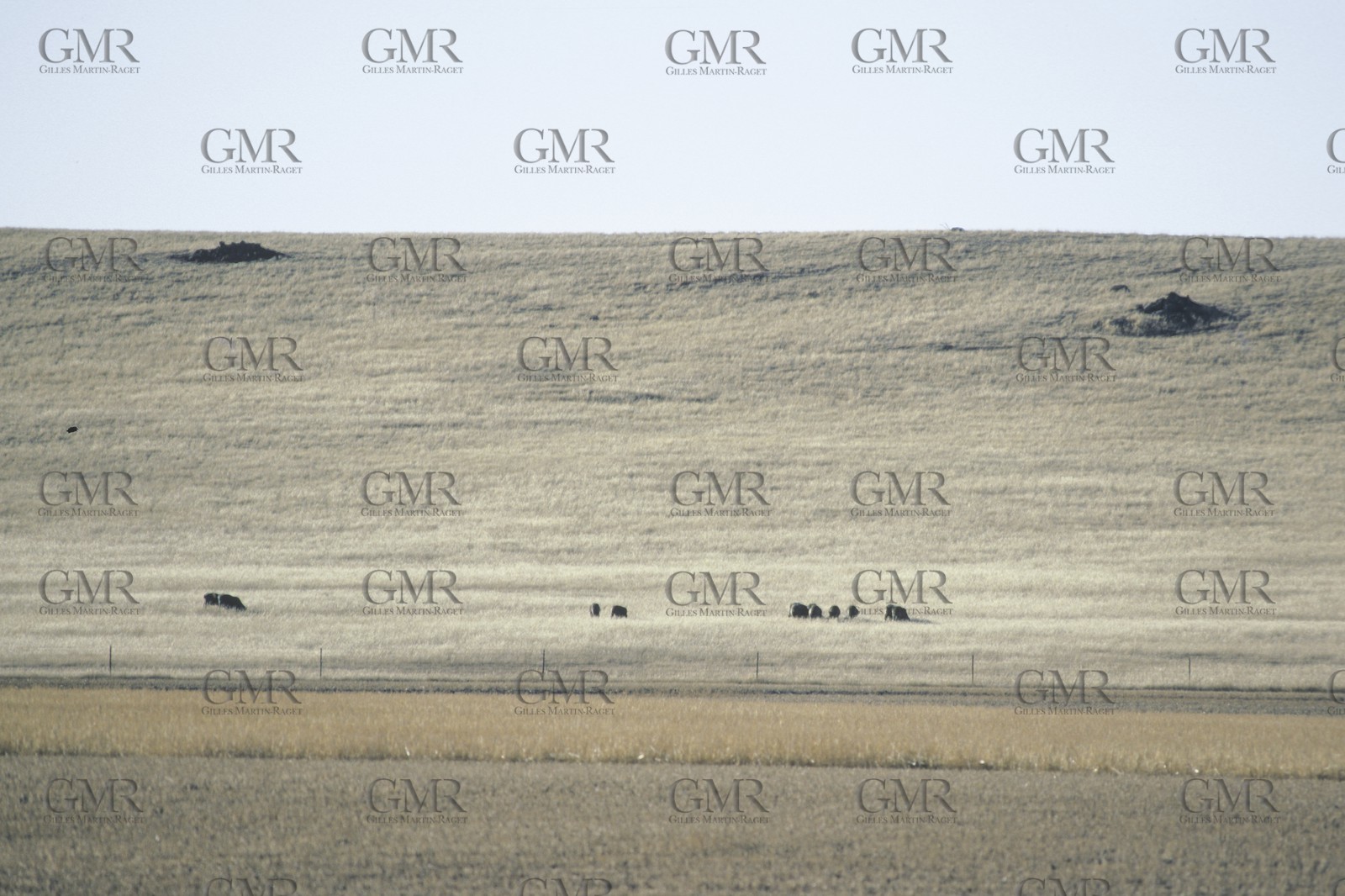 Destinations, Australia, Western Australia