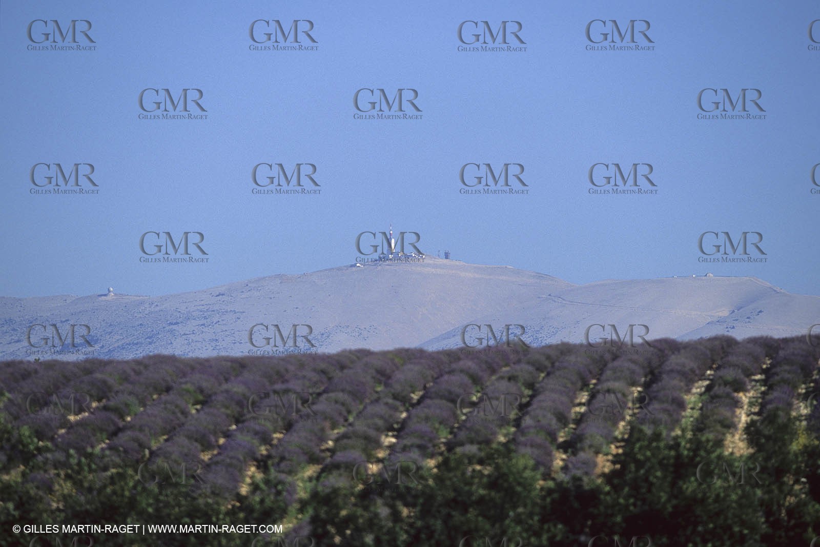 France, Provence, Mont Ventoux