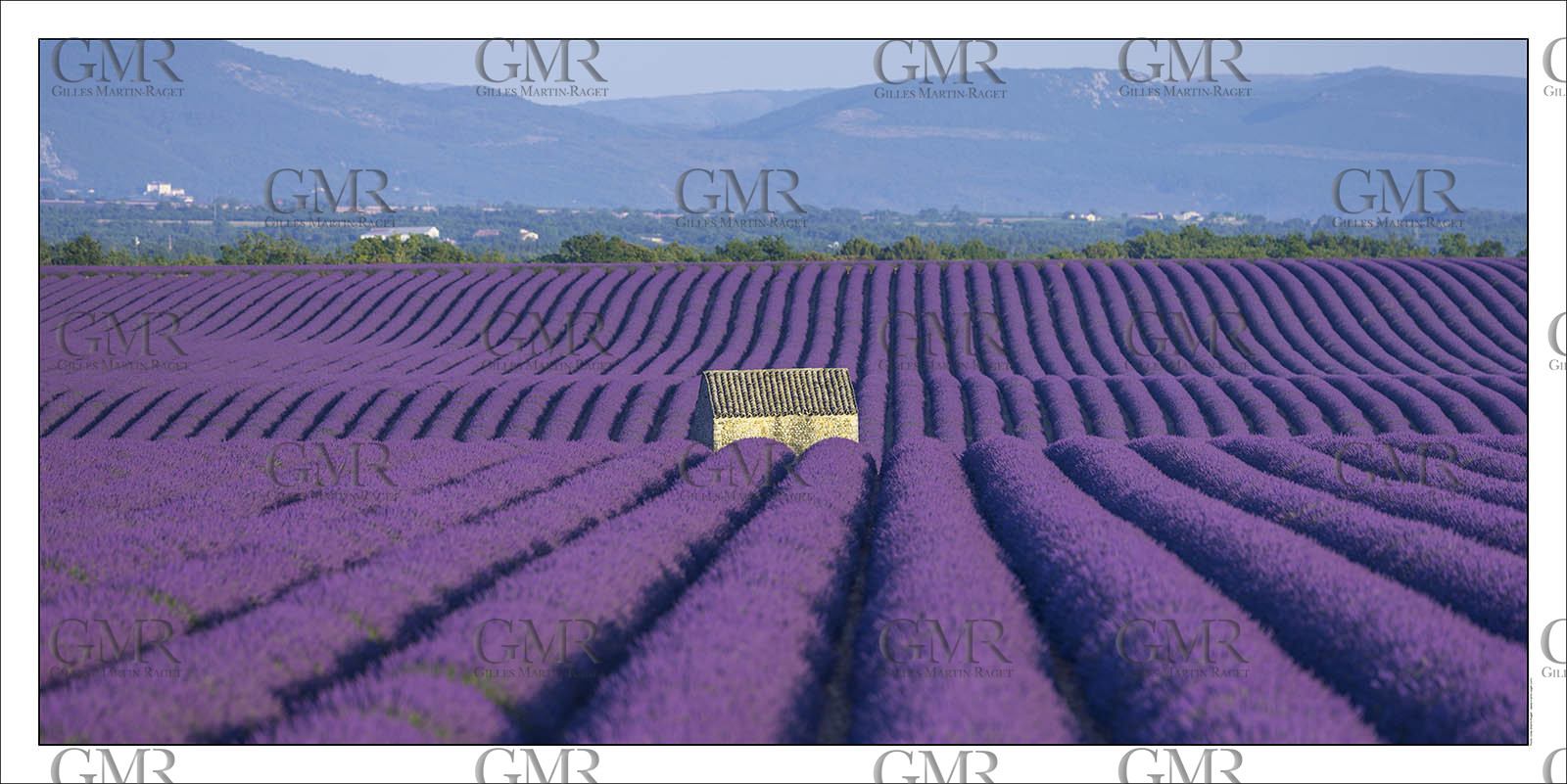 Product: in house made quality print on 8 ultrachome colors Epson ink Jet printer.Available sizes: . 50 x 100 cm. 100 x 200 cmAvailable papers: . Standard 250 gr glossy paper print, black streak, white margin, no signature. Top quality glossy 290 gr. paper, black streak, white margin, checked and signed by the author. Fine Art print (signed, numbered, stamped, registered) on demand. Other supports (Canvas, Acrylic, Metal) on demandPackaging: cylindric reinforced tubeShipping options: regular mail or Shipping companyClick on the basket icon to select your options and start the online ordering process