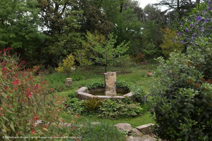 a09762ad-c9a5-4d3d-9c06-07919fe72045