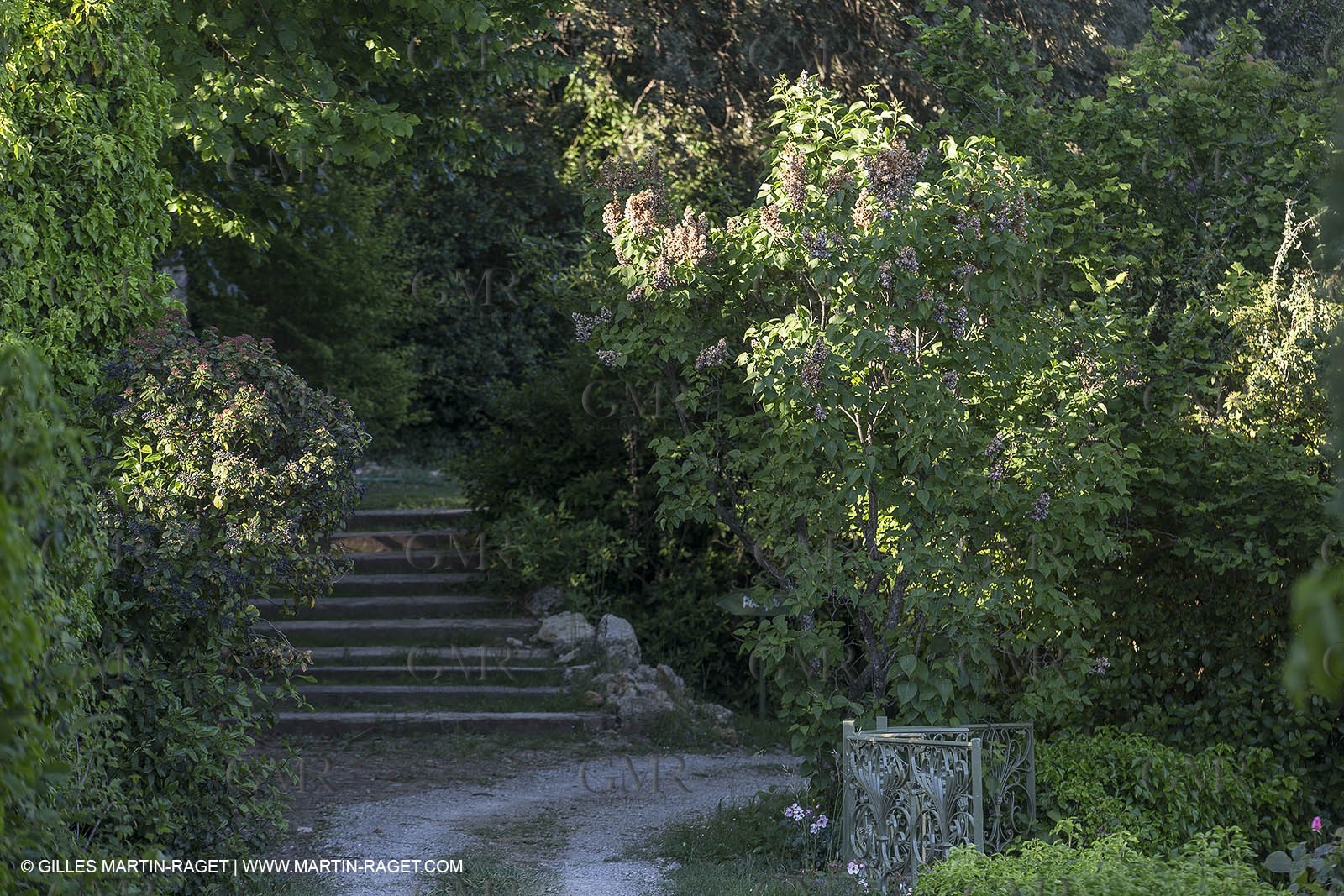 Domaine de la Baume - Tourtour (FRA,83) - 15 05 2014