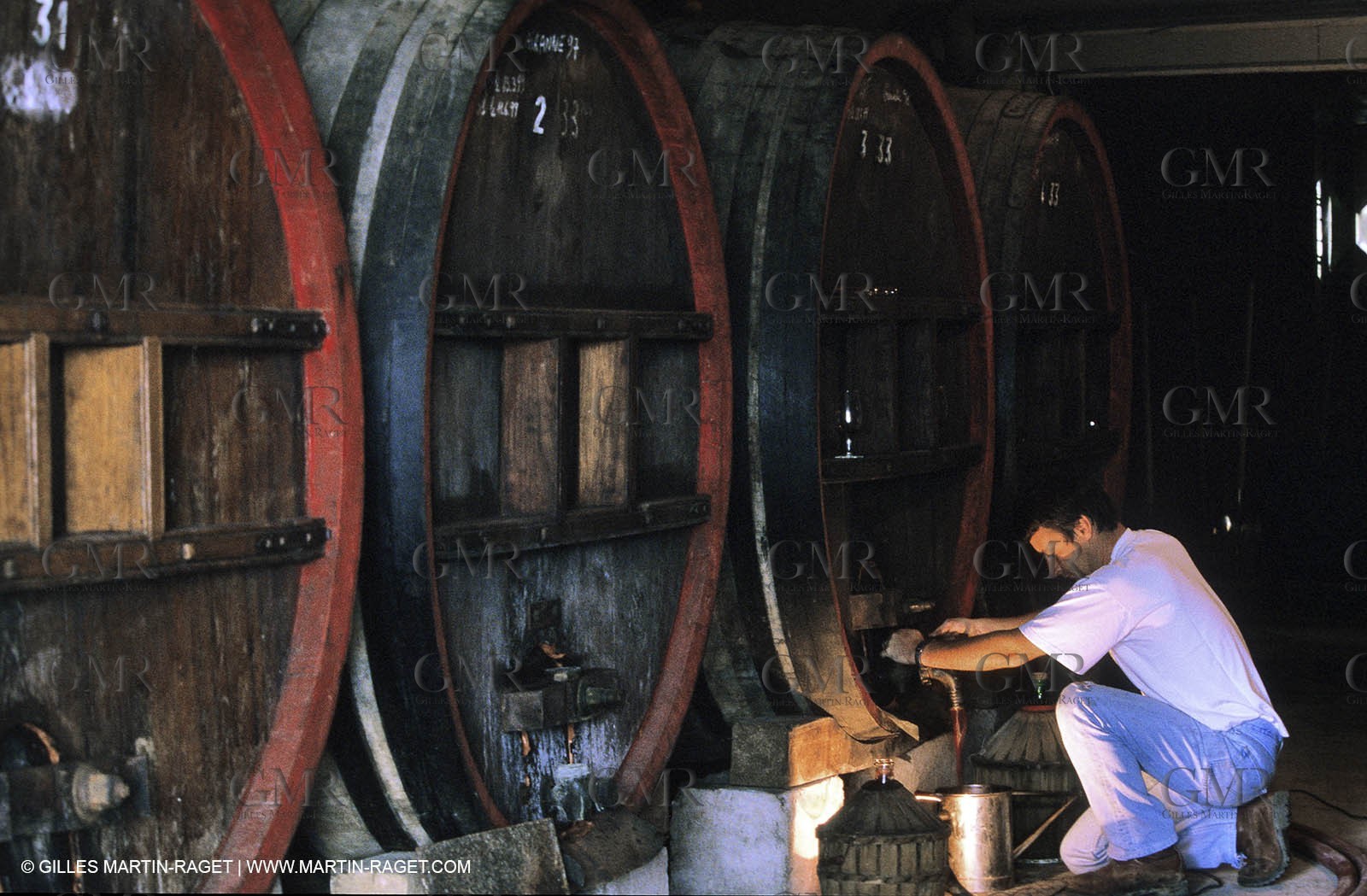 Harvest in Cairanne
