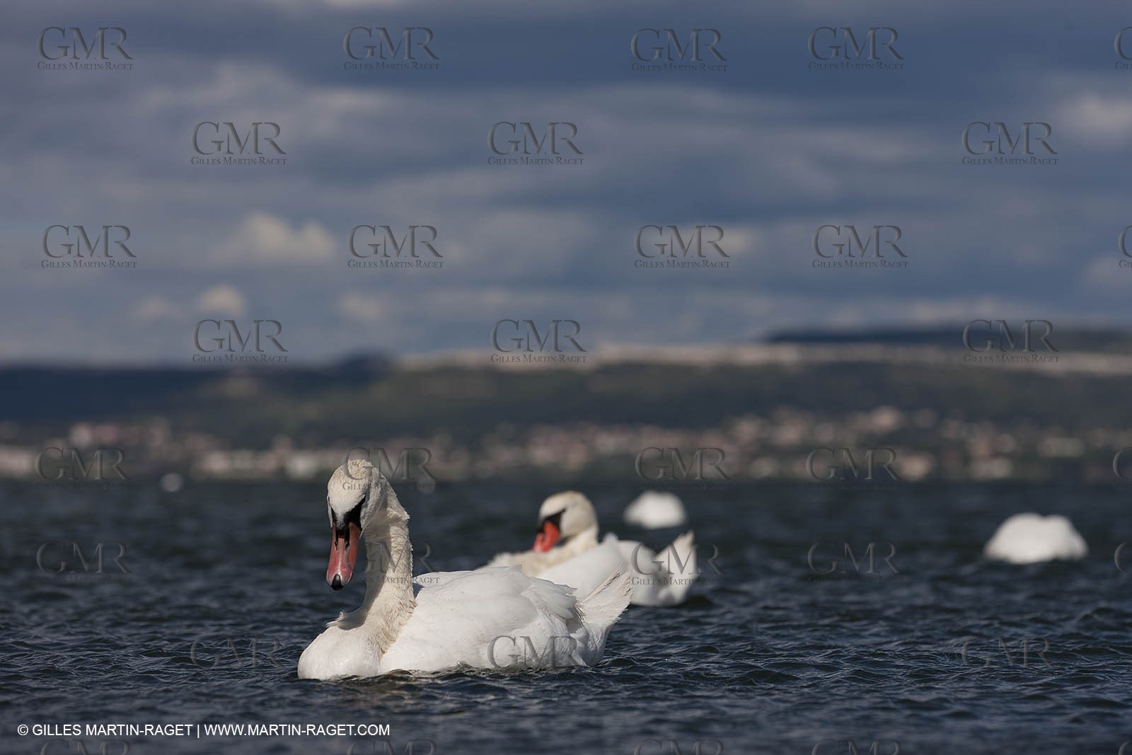 13 06 2012 - Berre l'Etang (FRA,13)