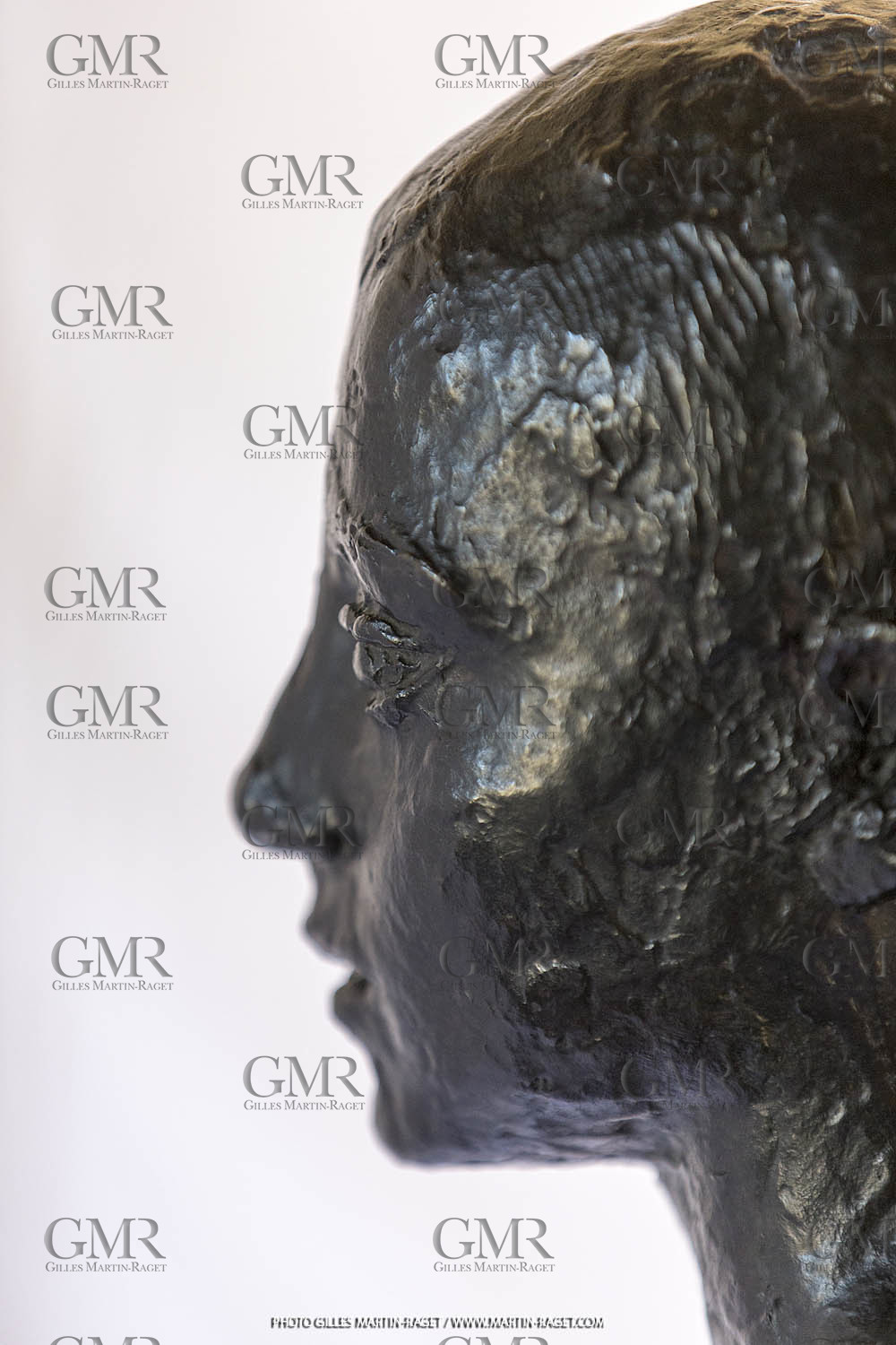 06 03 2016, Saint-Etienne du Grès (FRA,13), Oeuvre de Germaine Richier, Loretto I 1934, Bronze patiné foncé, Numéroté 4 6, fondeur Susse, Paris, 160 x 52 x 35 cm, Collection particulière